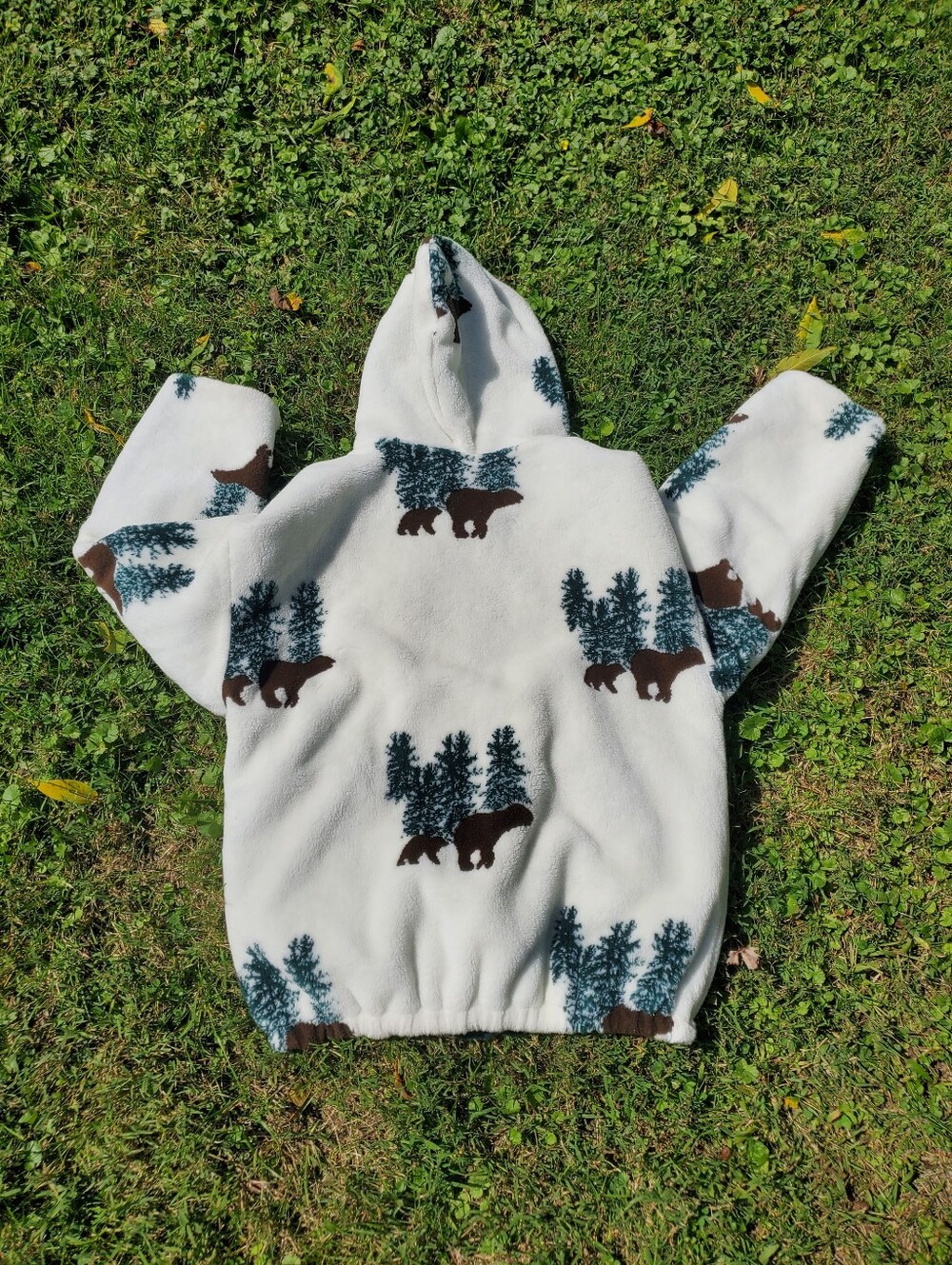 Teddy Bear Hoodie - Picture 2 of 5